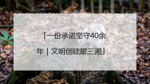 一份承诺坚守40余年｜文明创建耀三湘